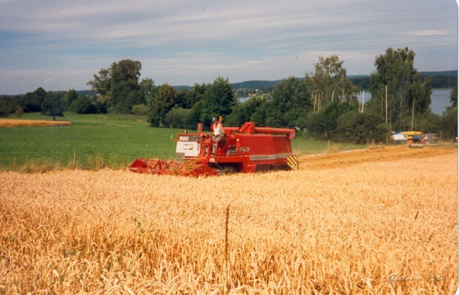 MF Drescher 12